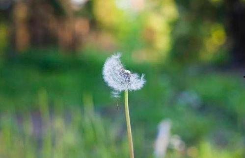 心动他眼里有一束月光,月光下的心动瞬间